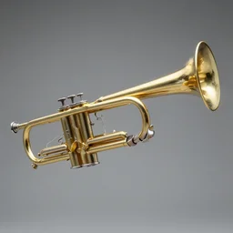 a gun but the barrel is replaced by the end of a trumpet -9