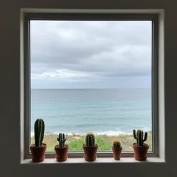 view from inside a house on window with on it's border small cactus in pots and the ocean in background. cloudy day. by artgerm, wlop, loish, ilya kuvshinov, tony sandoval.