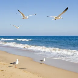 seagulls on the beach by yves tanguy