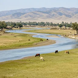landscape, river made of karak, with cows grazing, wide shot, photo