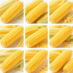 grid of 1 0 0 images of corn