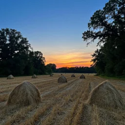 indiana sunset, rural, hay field surrounded by trees, blue hour, photorealistic, summer
