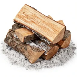 firewood becomes ash, ash cannot become firewood again