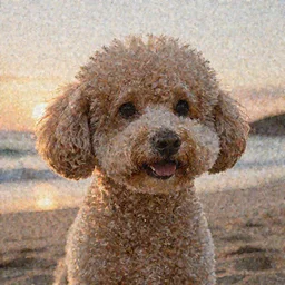 a closeup photorealistic photograph of a Snoop Dogg style bichon frise at the beach during sunset This 4K HD image is Trending on Artstation, featured on Behance, well-rendered, extra crisp, features intricate detail and the style of Unreal Engine.