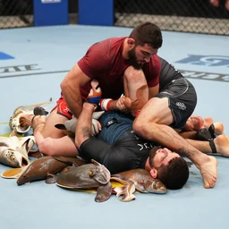 khabib nurmagomedov grappling with a menagerie of marine fauna until everyone is unconscious