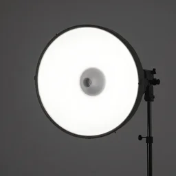 every phobia in one body studio light