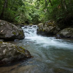 eno river state park