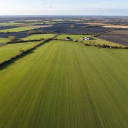 a beautiful meadow in the middle of the coal district, aerial view,