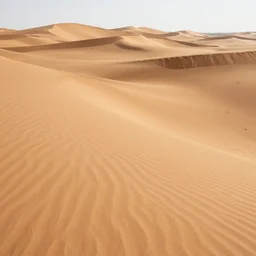 intricate smooth rolling sand dunes