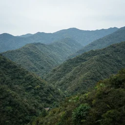 an amazing landscape with mountains and trees, hyperrealistic, lot of details.