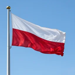 the polish flag flows in the wind.