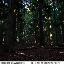 robert lewandowski trail cam footage still, night, in a forest