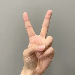 a hand doing the victory sign