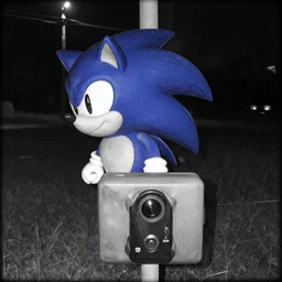 sonic the hedgehog trail cam, night vision grayscale