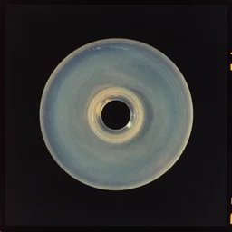 gelatinous music, film photography album art cover