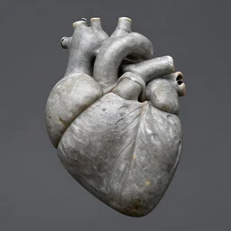 heart of stone, anatomically correct, scientific photography, realistic, octane, 8 k, hi quality, tilt shift, macro