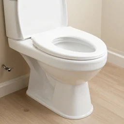 toilet on wheels