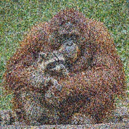 an orangutan giving a hug to a racoon