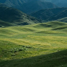 a beautiful landscape, f / 1, 2 shutter speed, iso 6 4 0 0