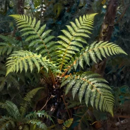 painting of ferns by hr giger and Greg mumford