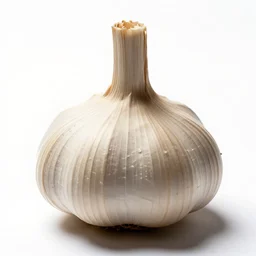 baroque garlic press, high detail macro photography, isolated on a pure white background, centered, entire object in frame, sharp focus, soft studio lighting