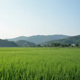 peaceful landscape