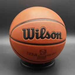 a taxidermy of a basketball, wilson