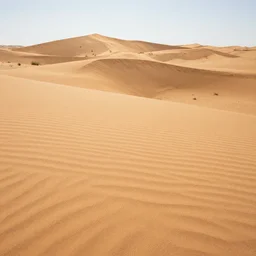 a desert dessert - n 9