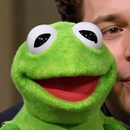 closeup headshot photo of the person who is kermit and a human, detailed face details
