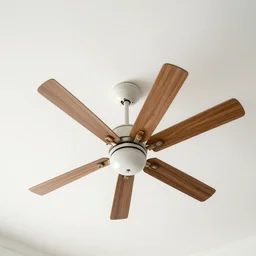ceilling fan