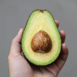 hand holding an avocado
