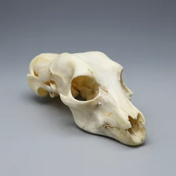 magic flute made of bone, rpg item 1 6 bit