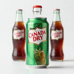 a can of canada dry, high quality food photography, food photo shoot, soda advertisement