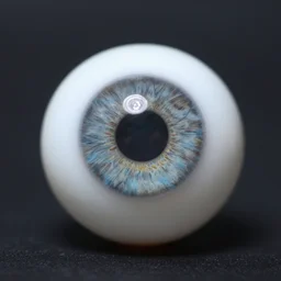 plastic eyeball