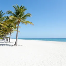 tropical beach, heavy snow, sunny, palm trees, rule of thirds, blue water in the right, landscape photo