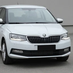 Skoda Fabia with black Polish licence plates