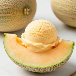 an extremely appetizing photo of cantaloupe ice cream