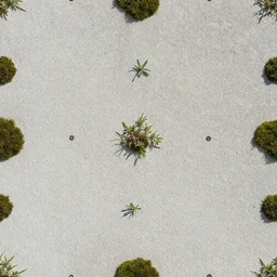 seamless concrete texture featuring small tufts of weeds and moss, textures.com