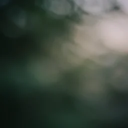 portra 800 abstract photography