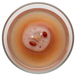 primordial soup