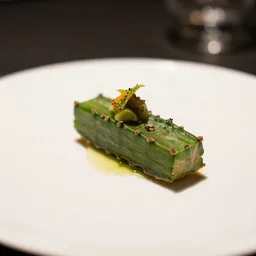 a fine dining plate of slice cactus, food photography, michelin star, fine dining, bokeh