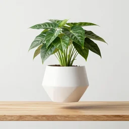 pot plant spatifillum levitating over wooden plank white geometric angular pot beautiful fororealistic art featured on artstation