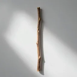 a single stick with a white background