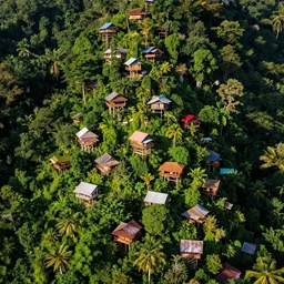 A village of wooden tree houses surrounded by beautiful jungle, bold colours, aerial view, cartographic