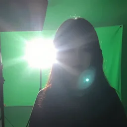 camera glare, leyendekcer style, in green screen, sun glare