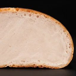 cross section of a putird trypaohobic porous surface flesh loaf photographed with a flash camera