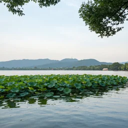 west lake, the garden of words