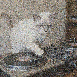 a white and gray Turkish Van cat DJing on turntables and a pioneer mixer