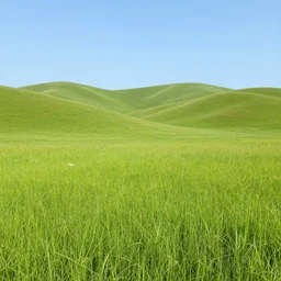 summer meadow, hills, landscape, concept art