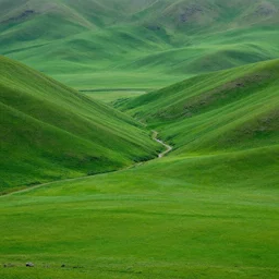 strange part of antartica, green valley below, lush and green, green pastures stretch for miles, secret photograph of declassified ufo base in antarctica, operation highjump, black and white recolored, 4 k